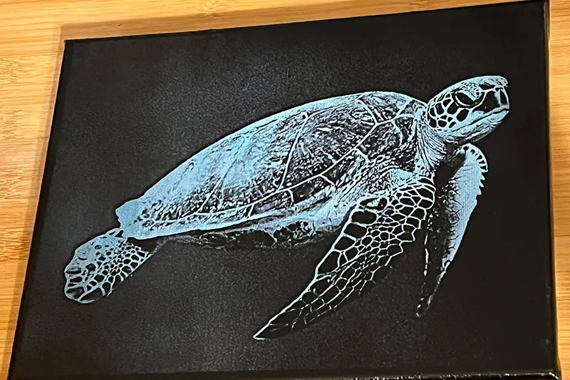 Dank der hohen Präzision der xTool Laser gelingen selbst aufwendige Fotogravuren ganz einfach