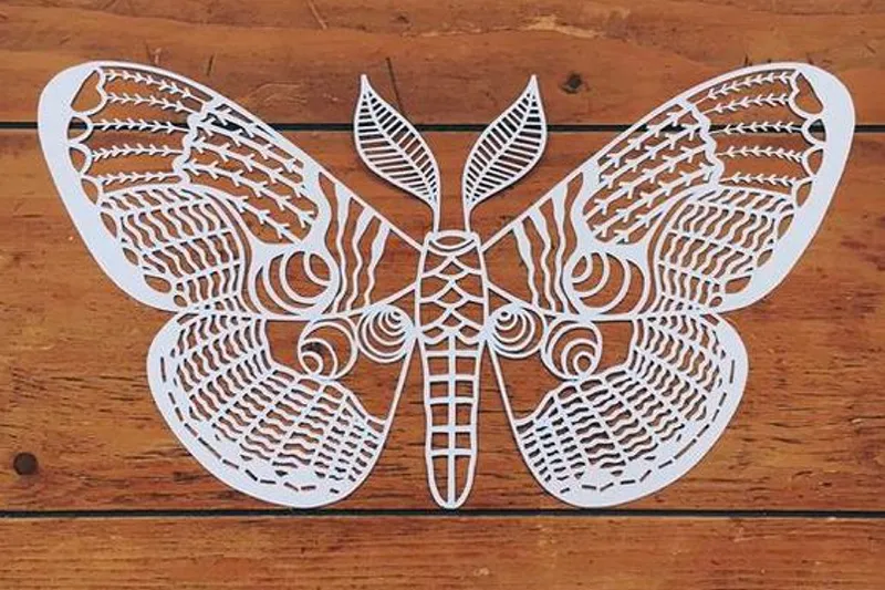 Selbst filigranste Motive aus Pappe oder Papier können Sie mit dem Laser schneiden